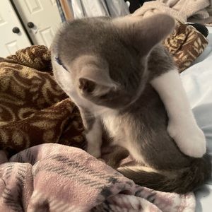 Meet your Posher, Lexi